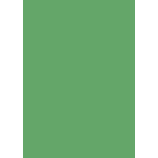heyda-krepp-papier-mittelgruen-50-1C4B0D721.jpg