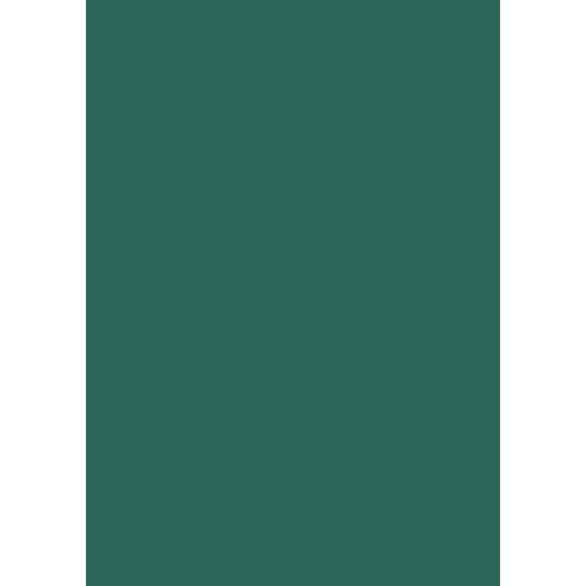 heyda-seidenpapier-dunkelgruen-50x70-cm-3BE9FAAB1.jpg