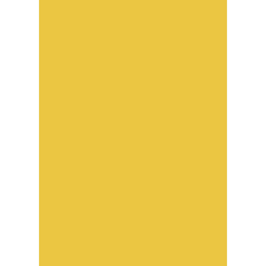 heyda-seidenpapier-gelb-50-x-8EC439271.jpg