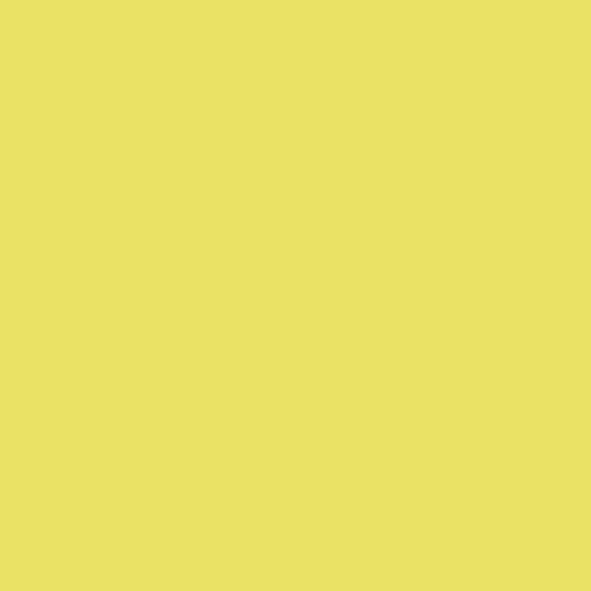 knorr-prandell-creasoft-moosgummi-gelb-7206BA782.jpg