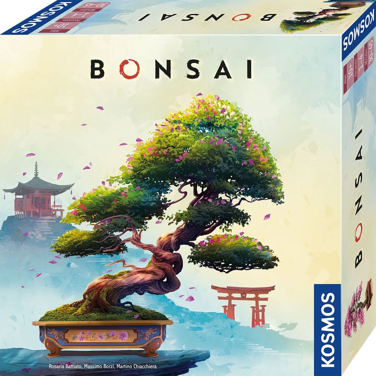 kosmos-bonsai-F2946E2C1.jpg
