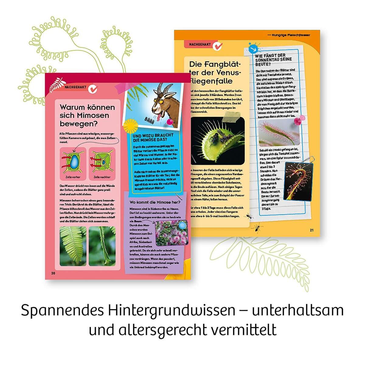 kosmos-fleischfressende-pflanzen-E67F10DE5.jpg