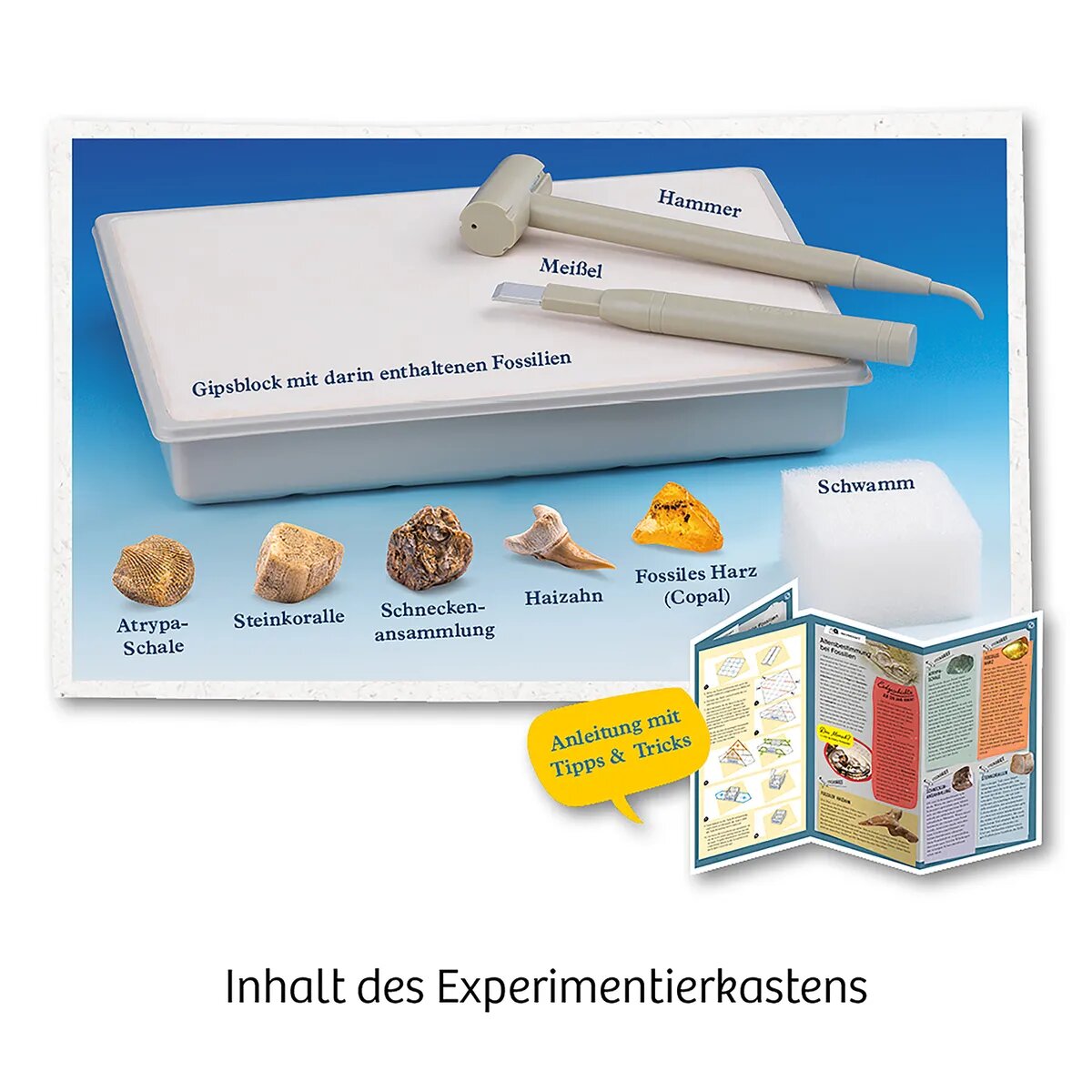 kosmos-fossilien-ausgrabungs-set-C661E1473.jpg