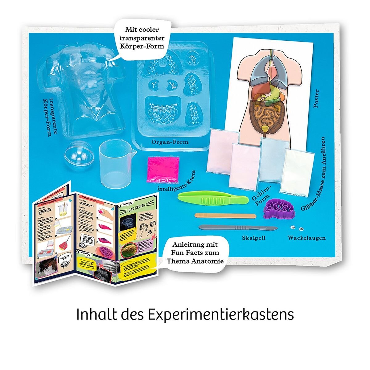 kosmos-fun-science-glibber-organe-E8197FDA3.jpg