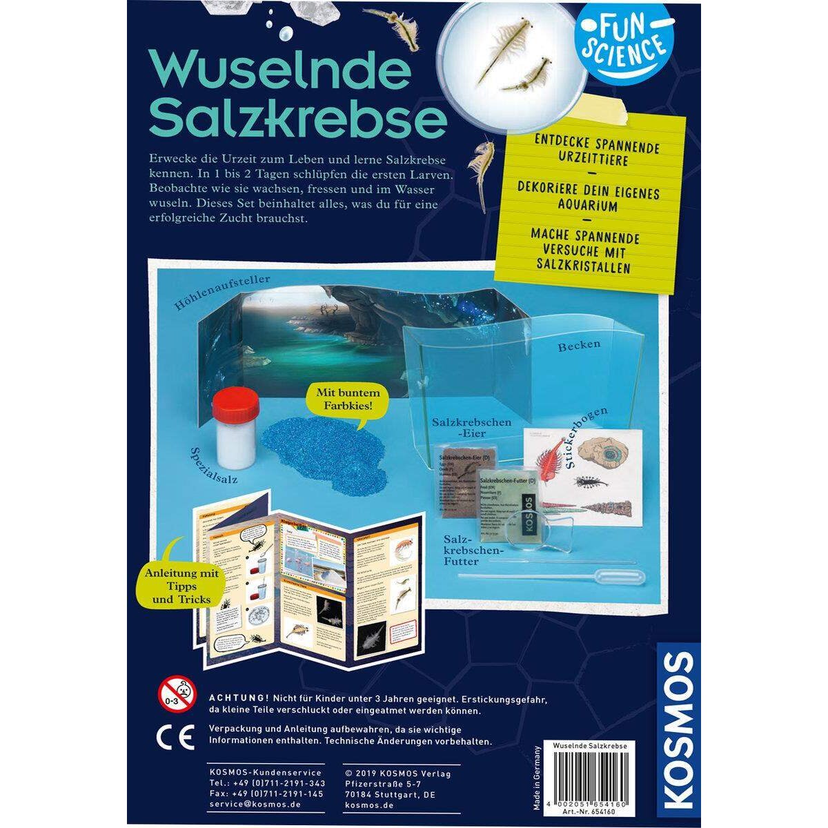 kosmos-fun-science-wuselnde-salzkrebse-E7BFFDD02.jpg