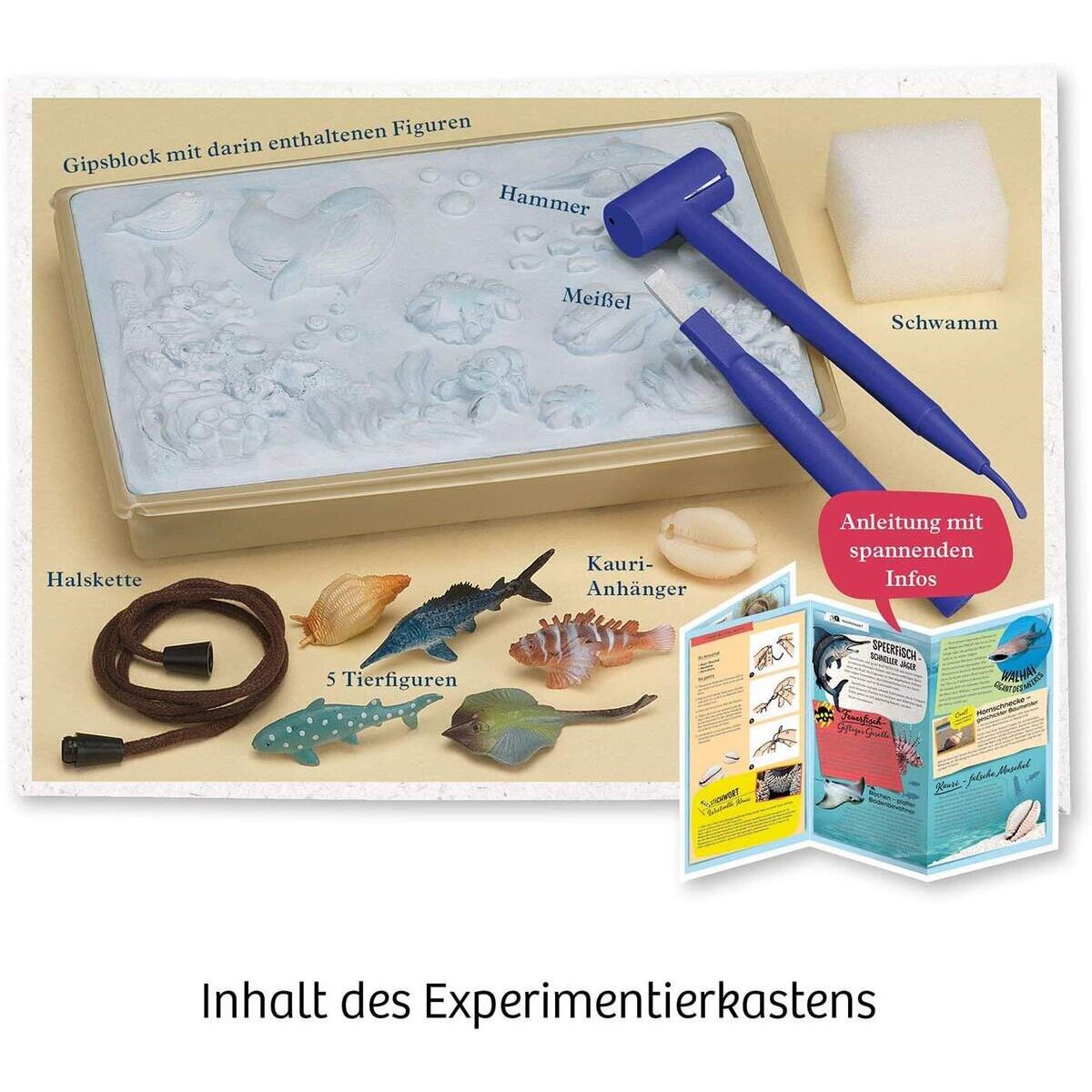 kosmos-meeres-abenteuer-grabe-die-B428B3FA3.jpg