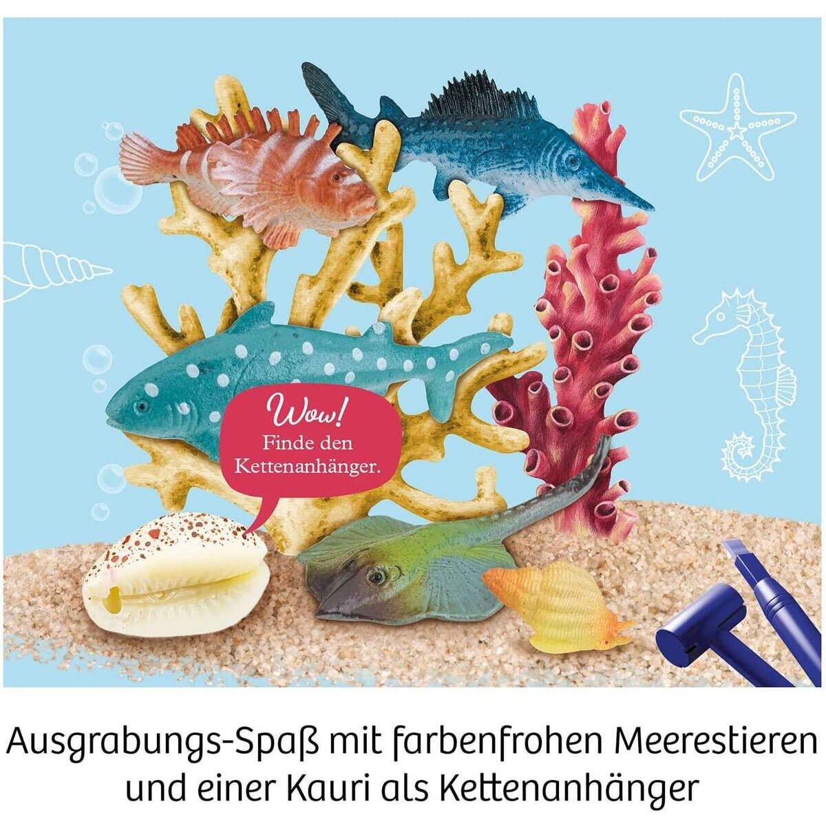 kosmos-meeres-abenteuer-grabe-die-B428B3FA4.jpg