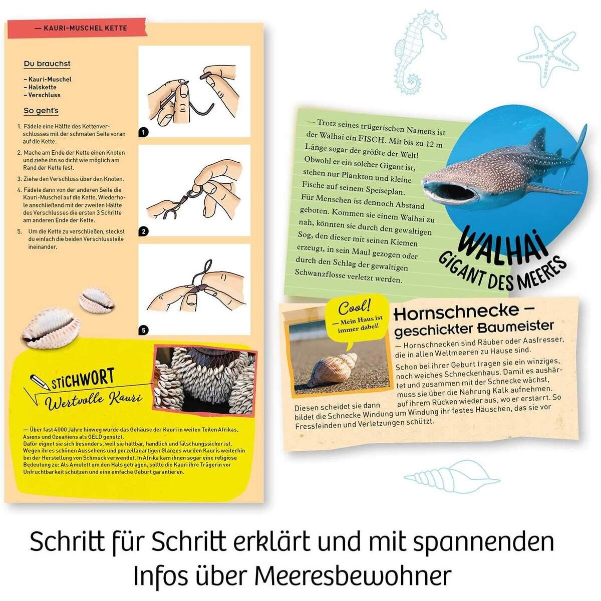 kosmos-meeres-abenteuer-grabe-die-B428B3FA5.jpg