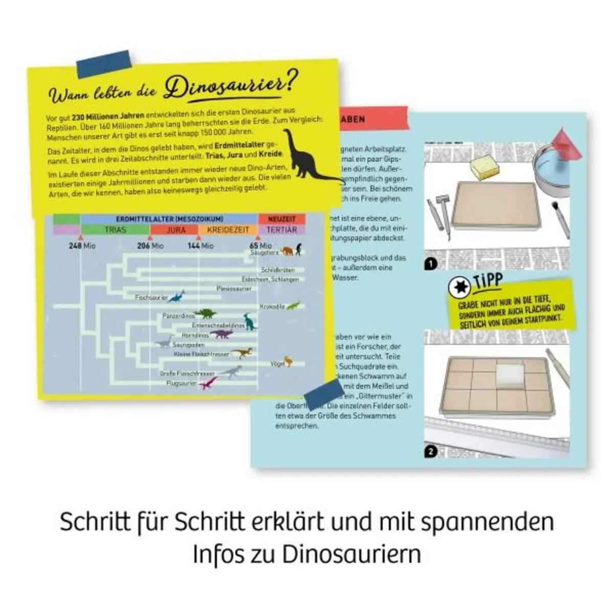 KOSMOS Nachtleuchtender Flugsaurier