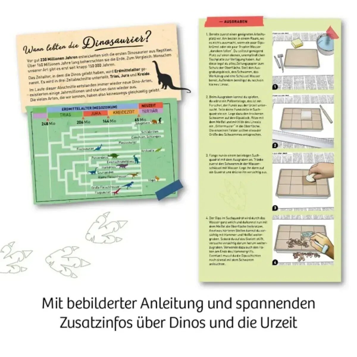 kosmos-t-rex-nachtleuchtend-ausgrabungs-7EB3F1D45.jpg
