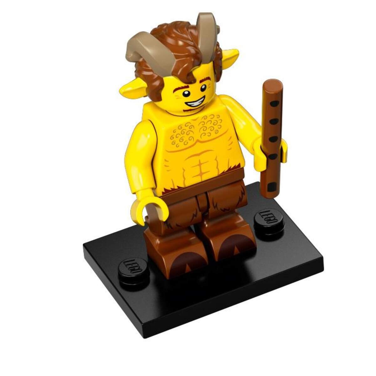 lego-minifigures-71011-serie-15-A74A31896.jpg