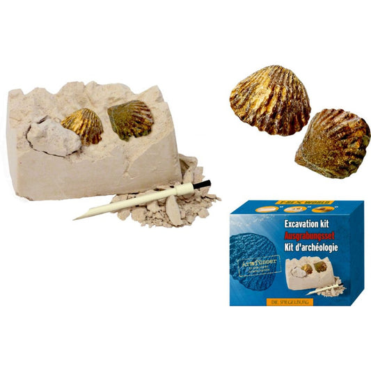 mini-ausgrabungsset-fossilien---6C015E1D1.jpg