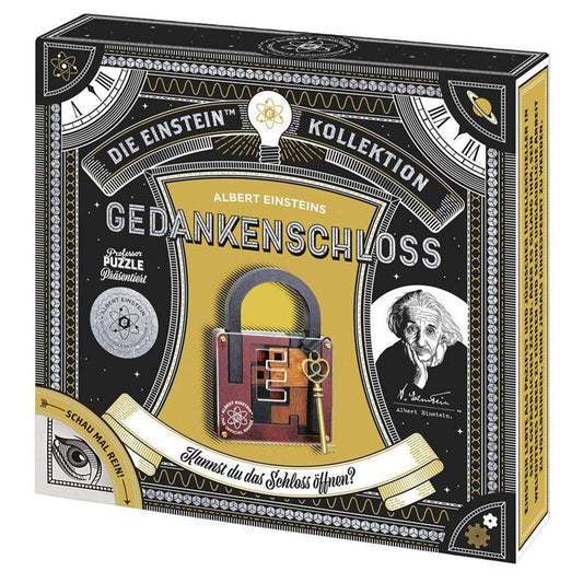 moses-albert-einsteins-gedankenschloss-geduldspiel-048CA7771.jpg
