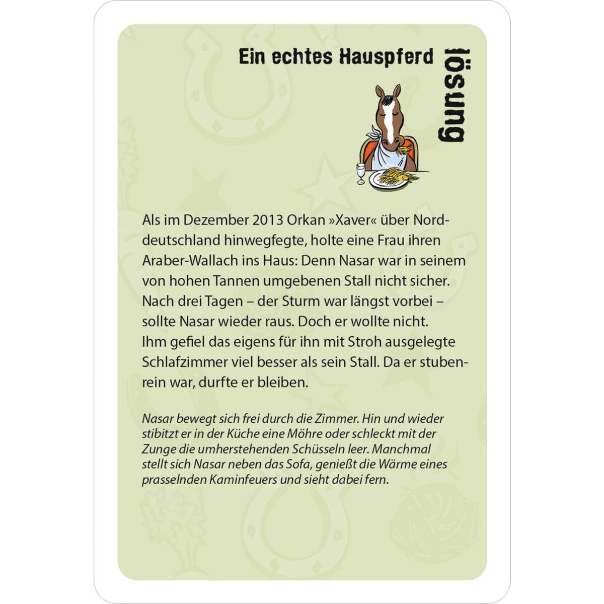 moses-black-stories-junior-pferdeglueck-3B3E76CF5.jpg