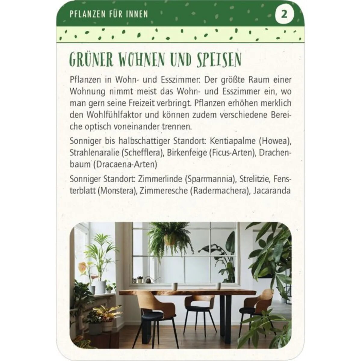 moses-blatt--bluete-gruener-472397542.jpg