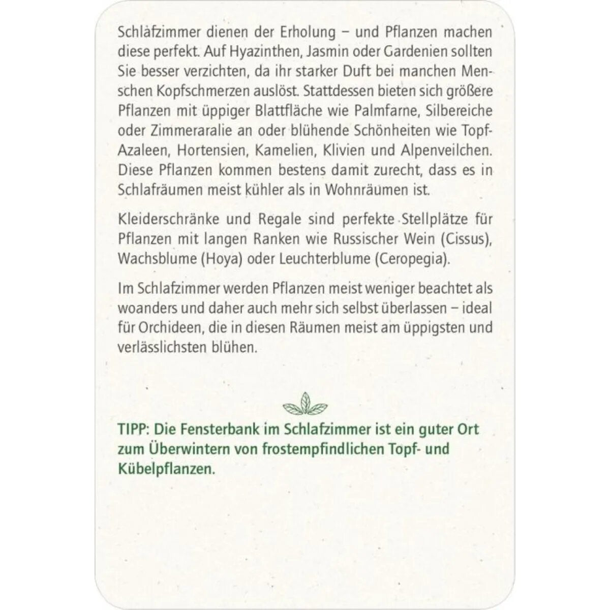 moses-blatt--bluete-gruener-472397544.jpg