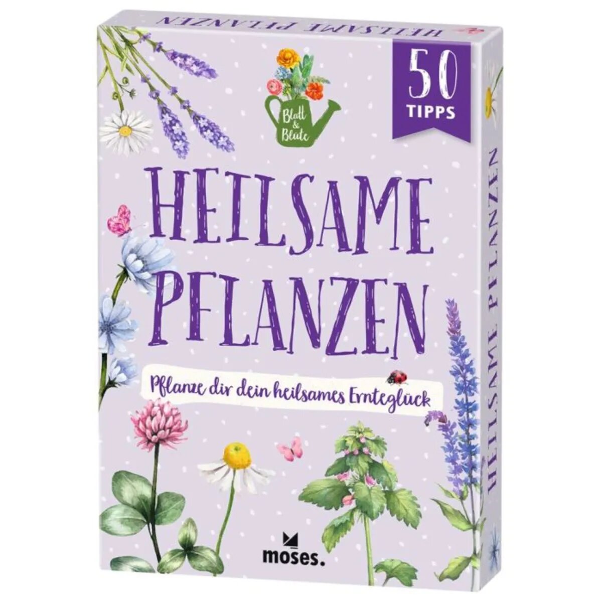 moses-blatt--bluete-heilsame-6B2757571.jpg