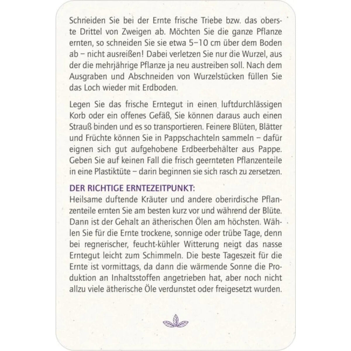 moses-blatt--bluete-heilsame-6B2757573.jpg