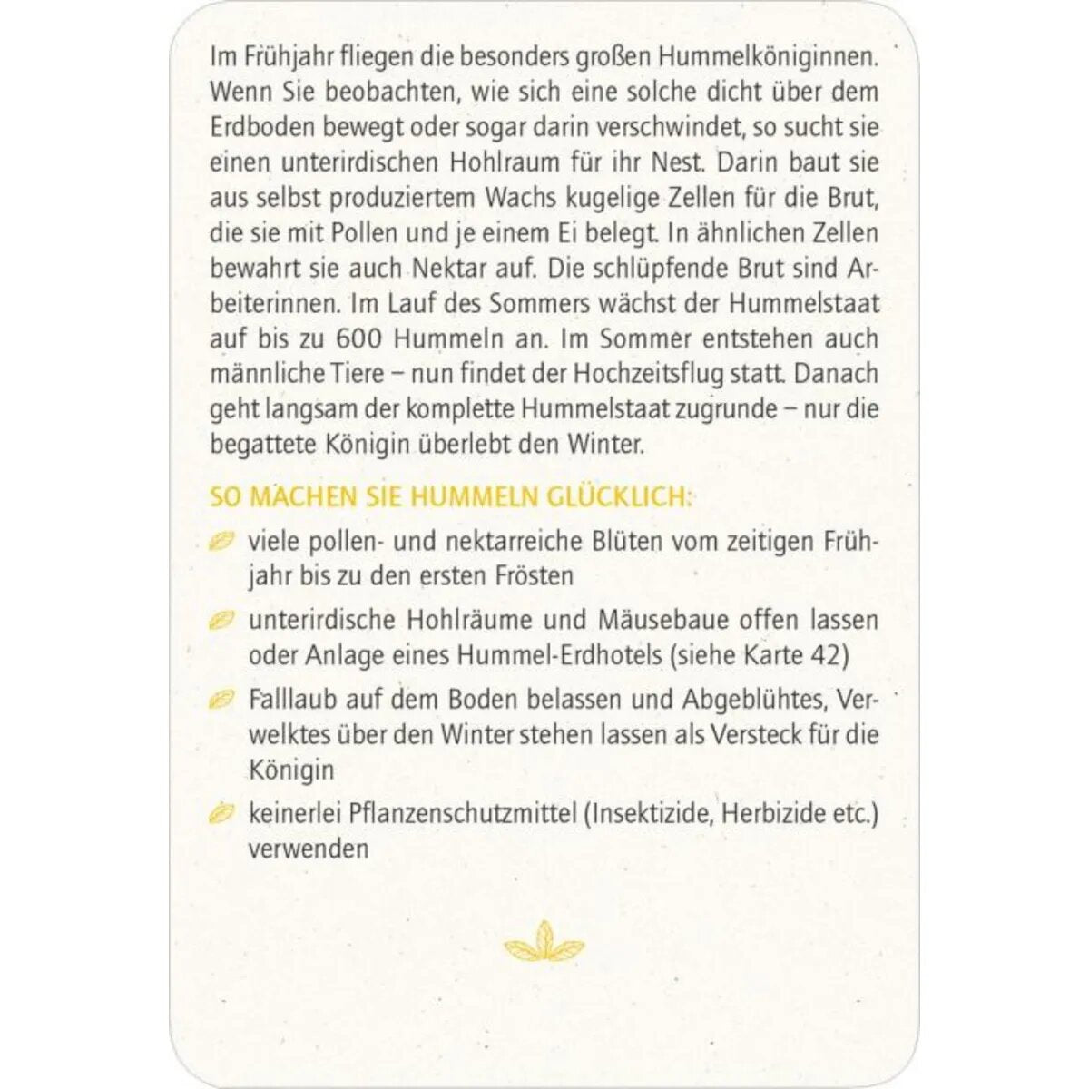 moses-blatt--bluete-insektenglueck-E86733143.jpg