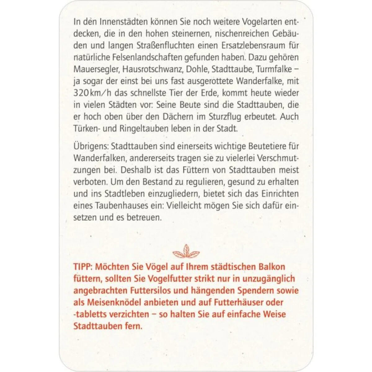 moses-blatt--bluete-vogelglueck-6B279C003.jpg