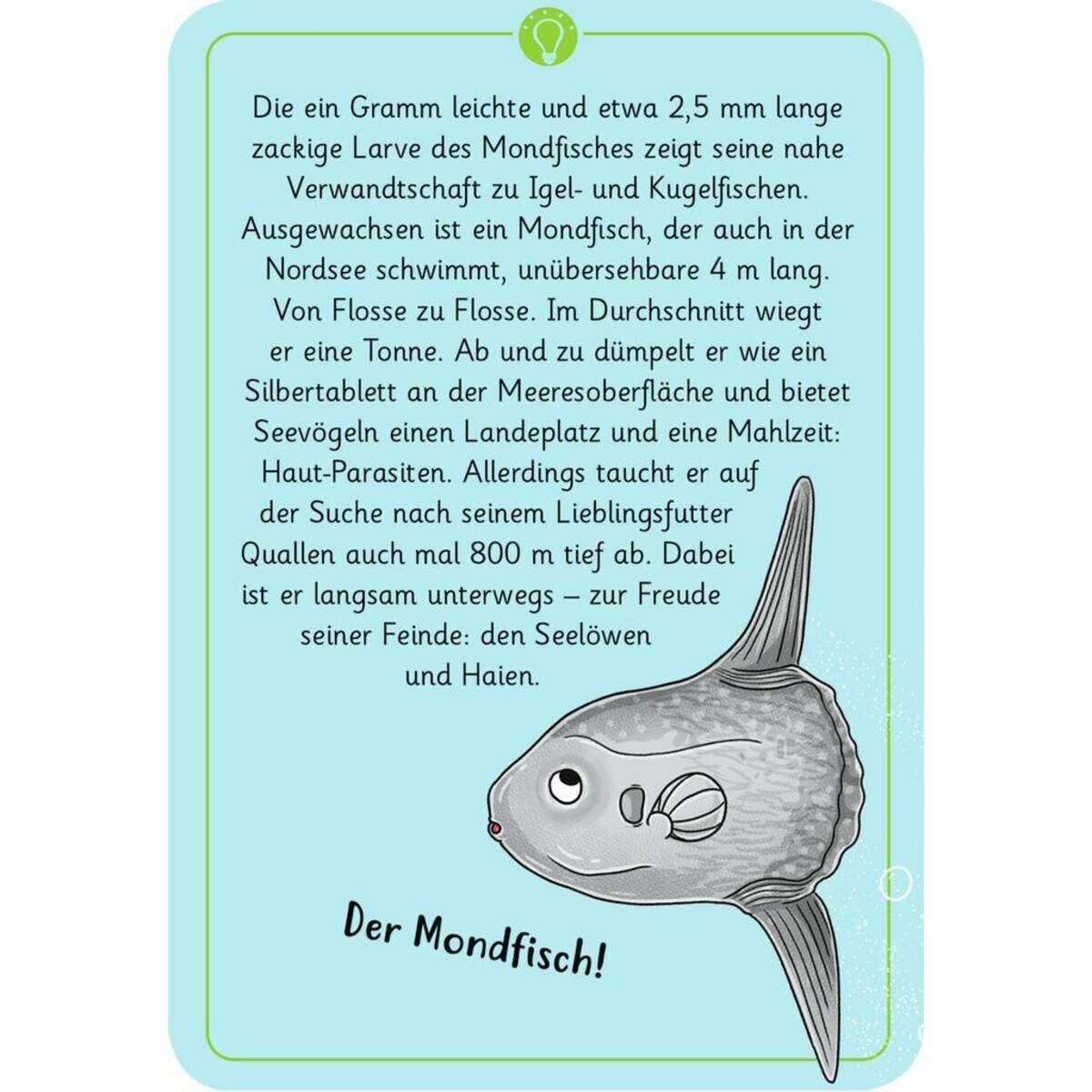 moses. Expedition Natur - 50 wundersame Tierrätsel: Meer und Strand