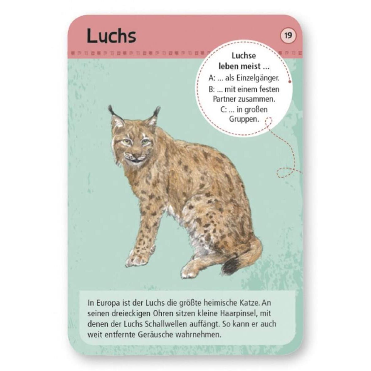 moses-expedition-natur-50-heimische-0D9408702.jpg
