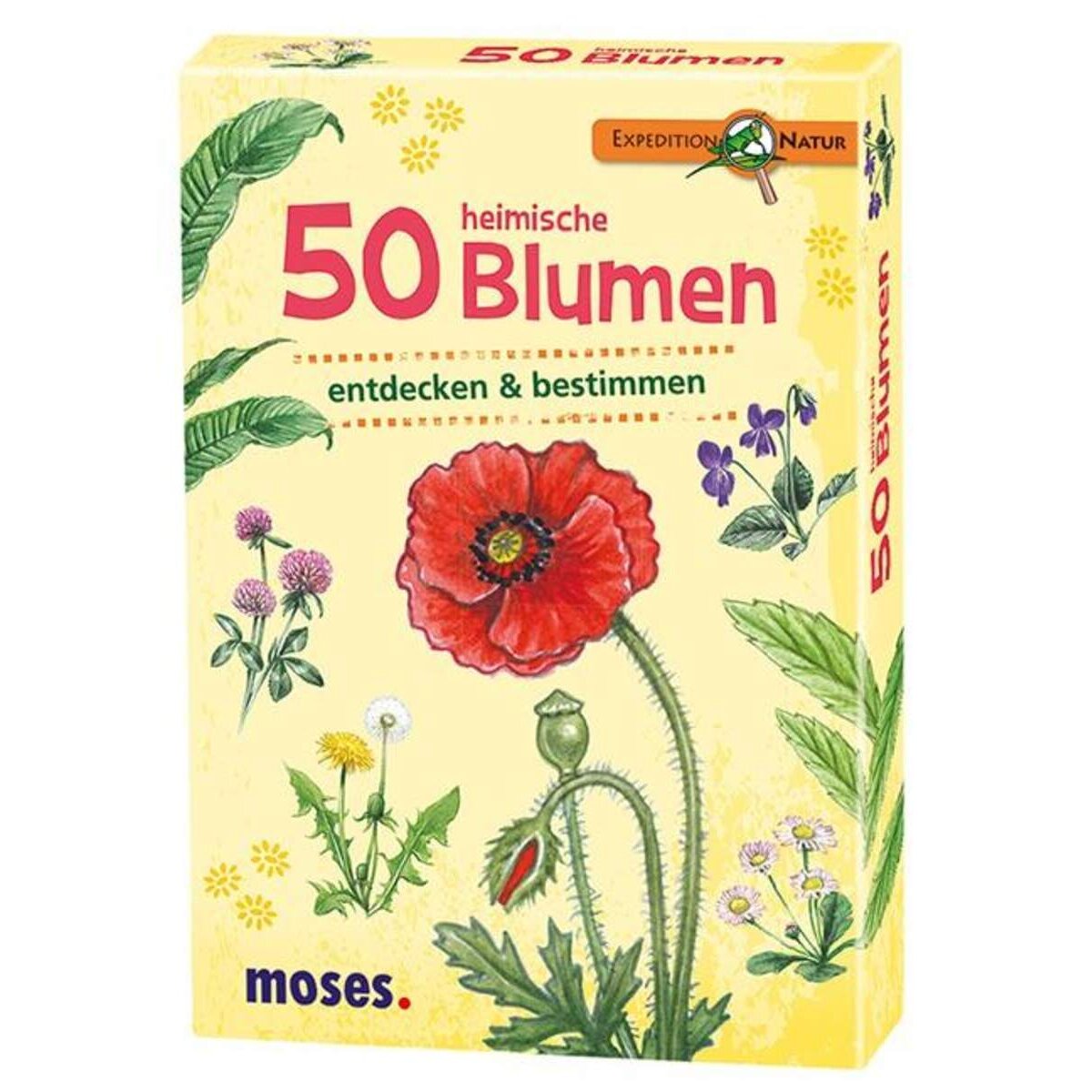 moses. Expedition Natur 50 heimische Blumen