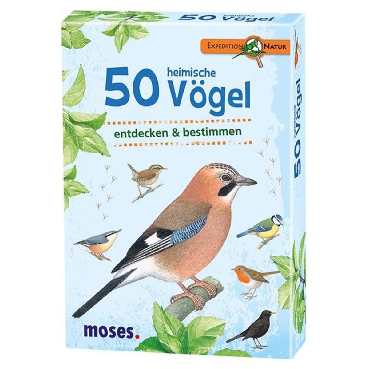 moses-expedition-natur-50-heimische-B9271C591.jpg