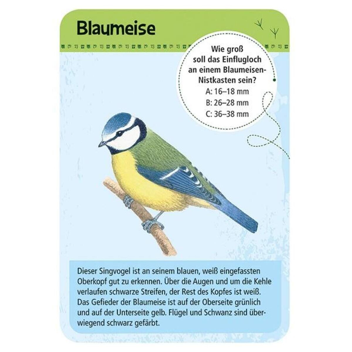 moses-expedition-natur-50-heimische-B9271C592.jpg