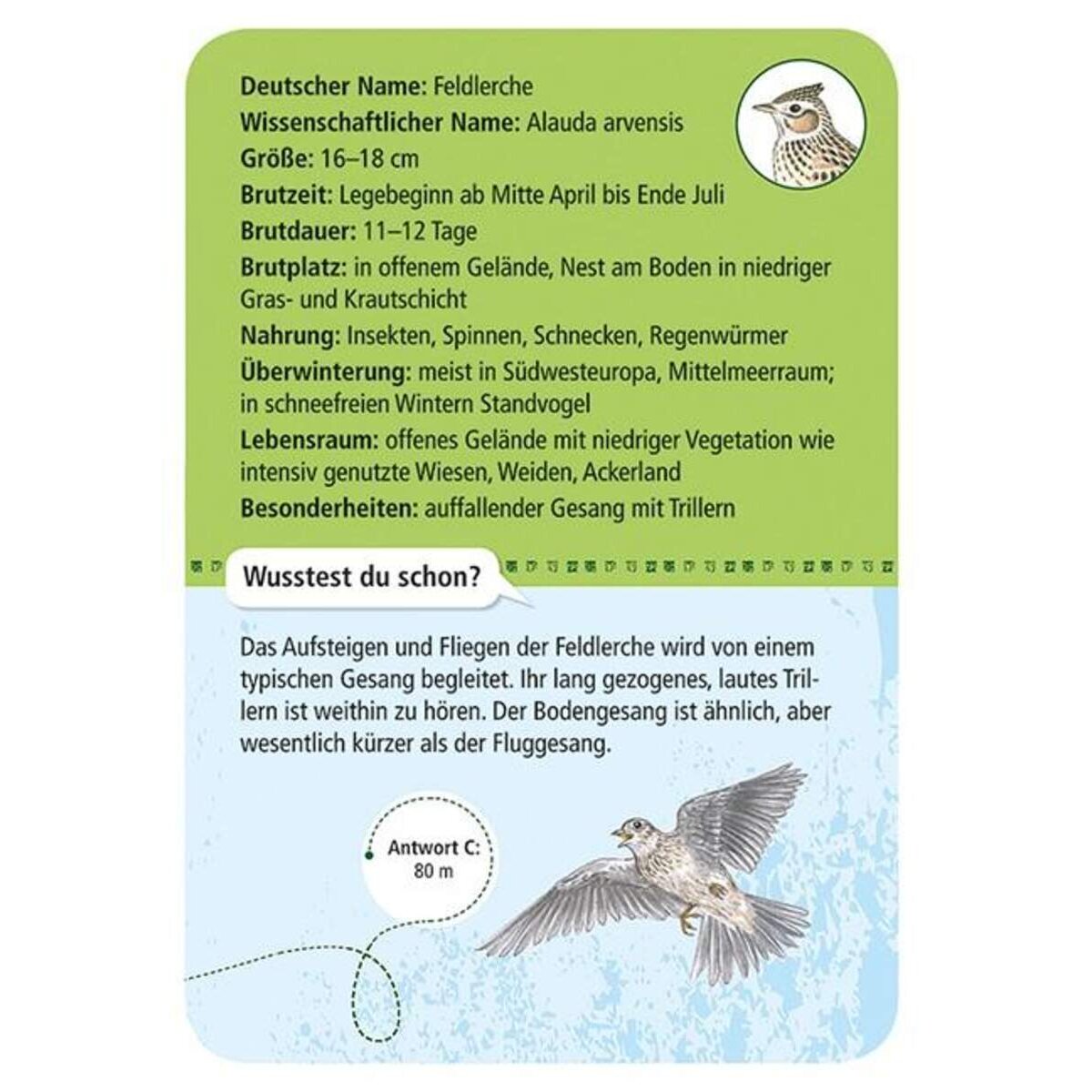 moses-expedition-natur-50-heimische-B9271C593.jpg