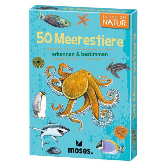 moses-expedition-natur-50-meerestiere-9511F20F1.jpg