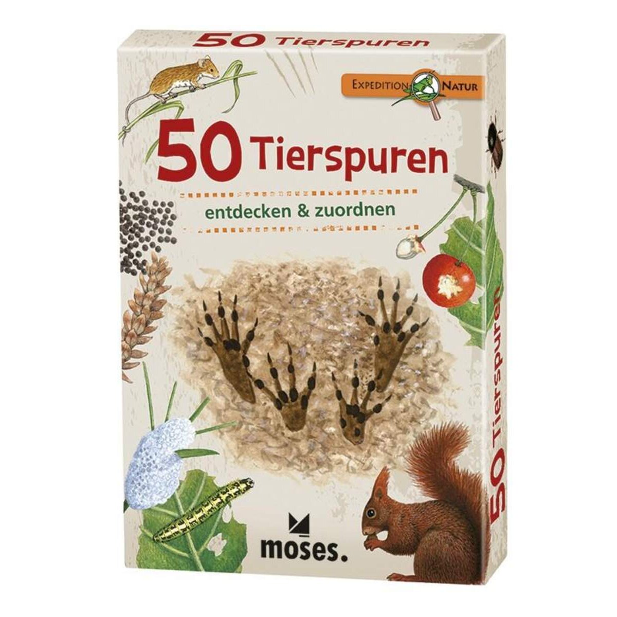 moses-expedition-natur-50-tierspuren-9E16E4A91.jpg
