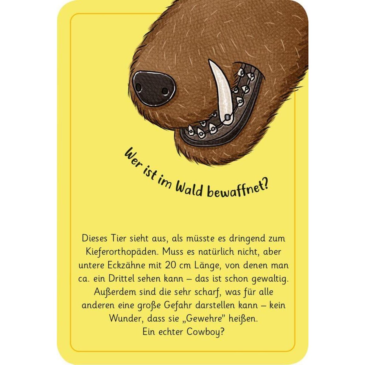 moses. Expedition Natur 50 wundersame Tierrätsel - Wald