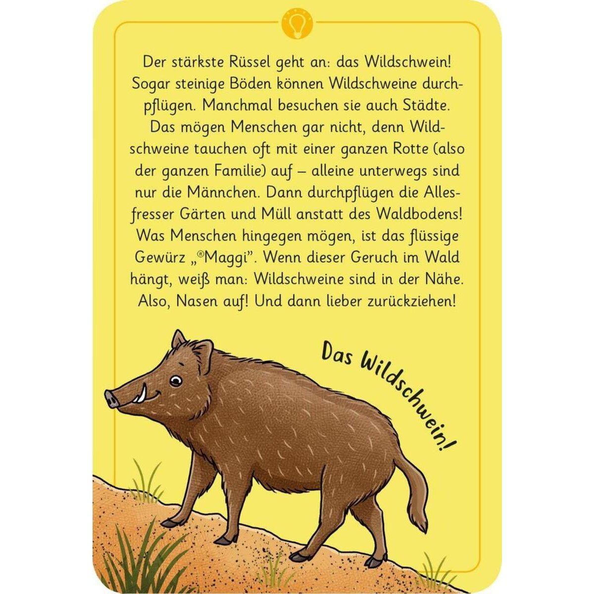 moses-expedition-natur-50-wundersame-D2EB9B8C3.jpg