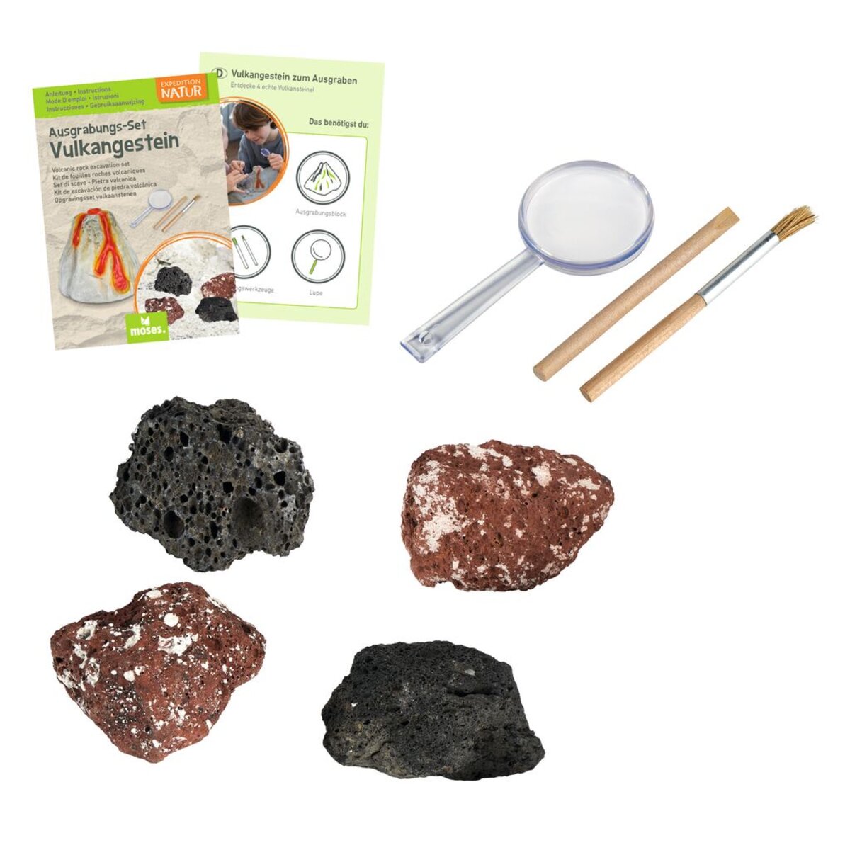 moses-expedition-natur-ausgrabungs-set-83B9302A3.jpg