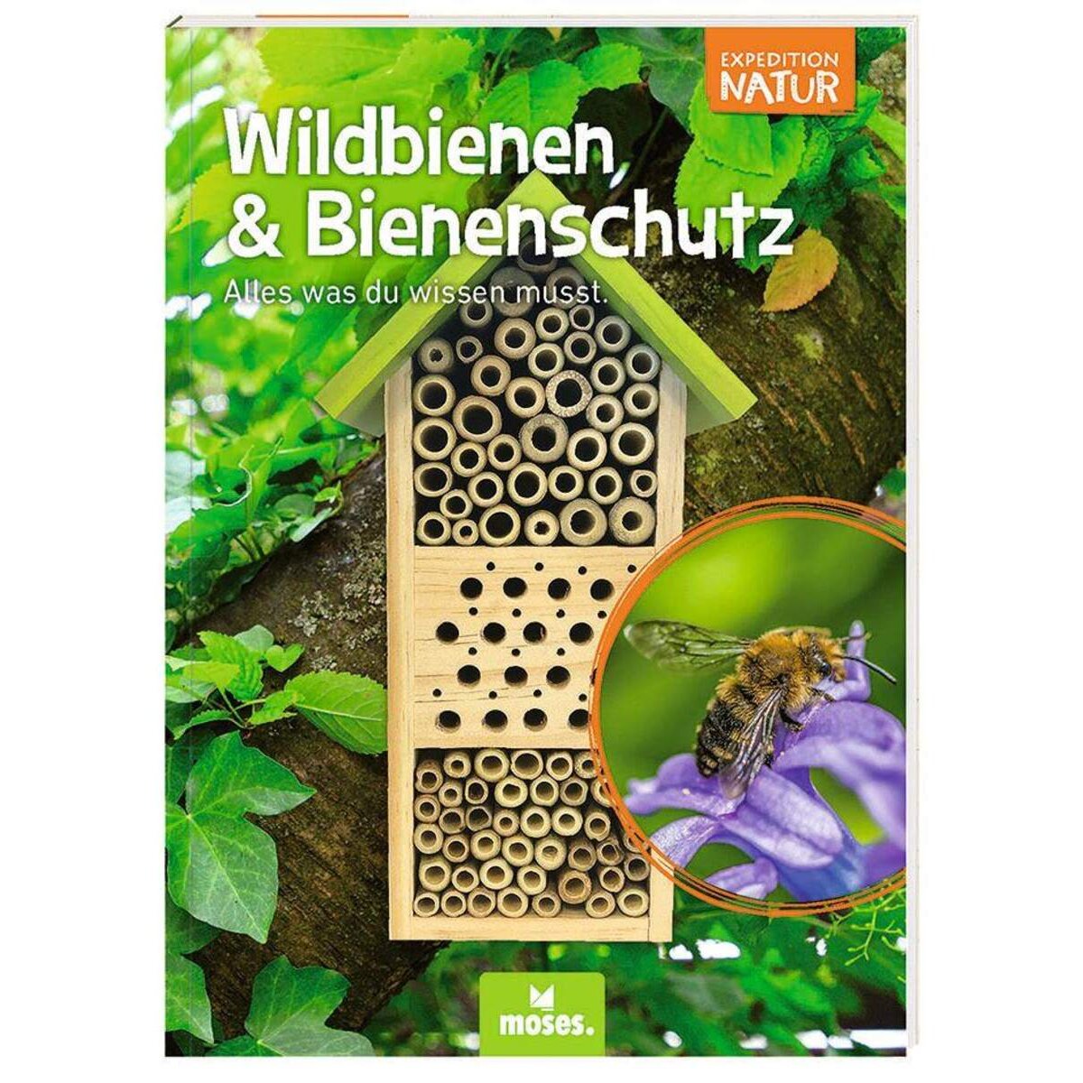 moses-expedition-natur-bienenhotel-C2A1430B2.jpg