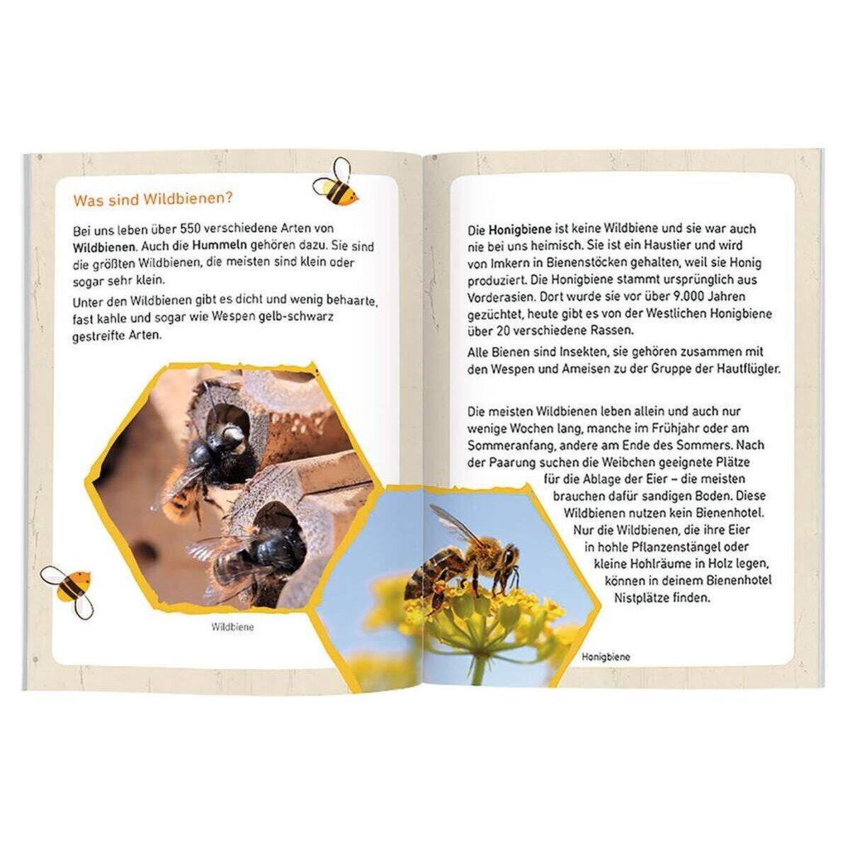 moses-expedition-natur-bienenhotel-C2A1430B3.jpg