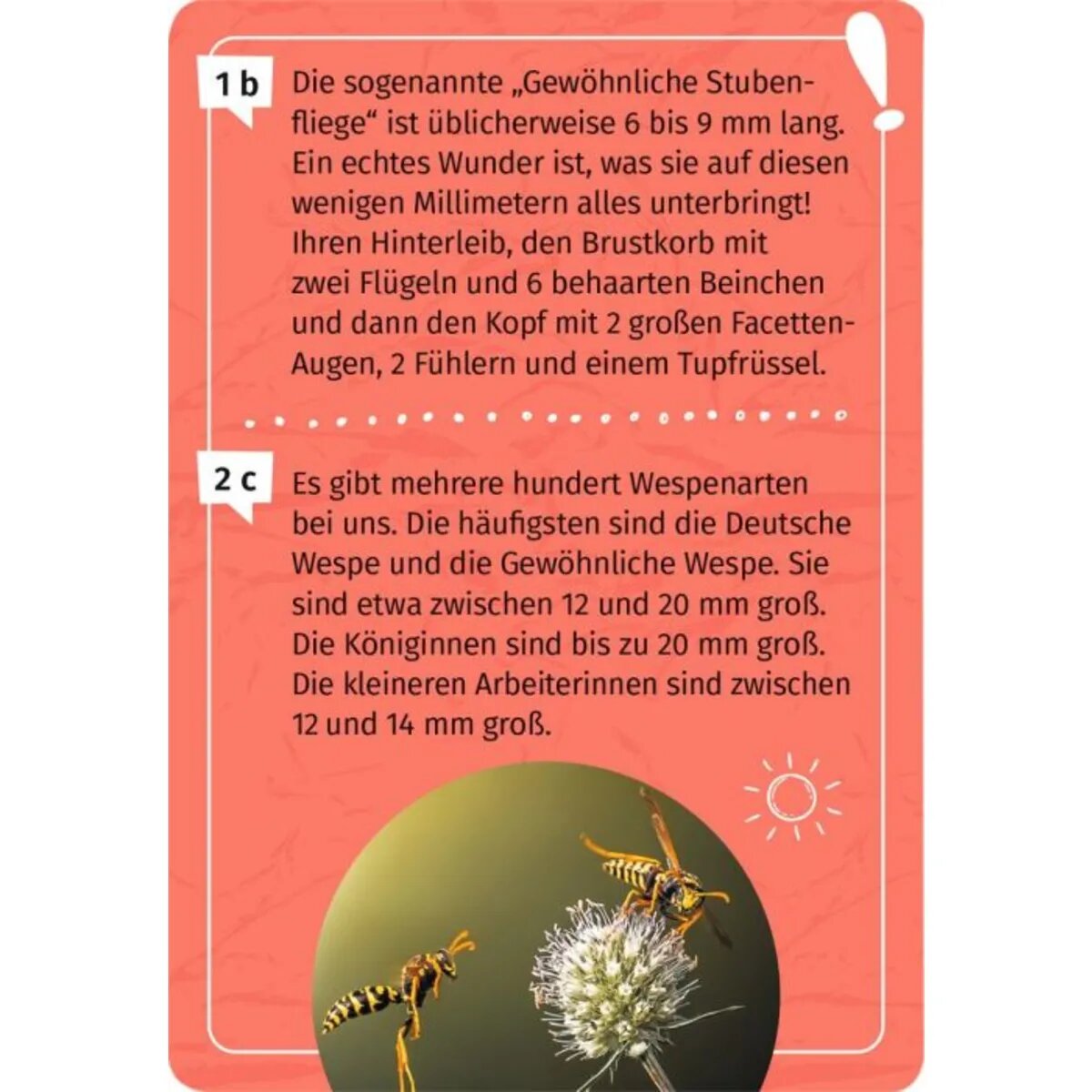 moses-expedition-natur-mein-becherlupen-CAE4F8143.jpg