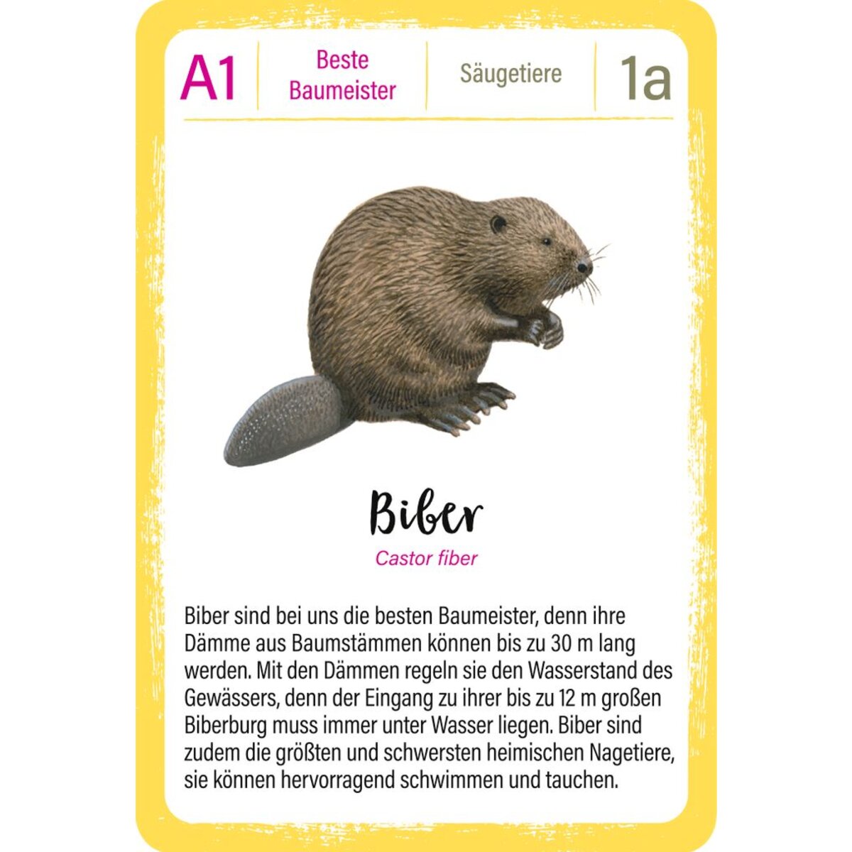 moses. Expedition Natur Quartett Tierrekorde