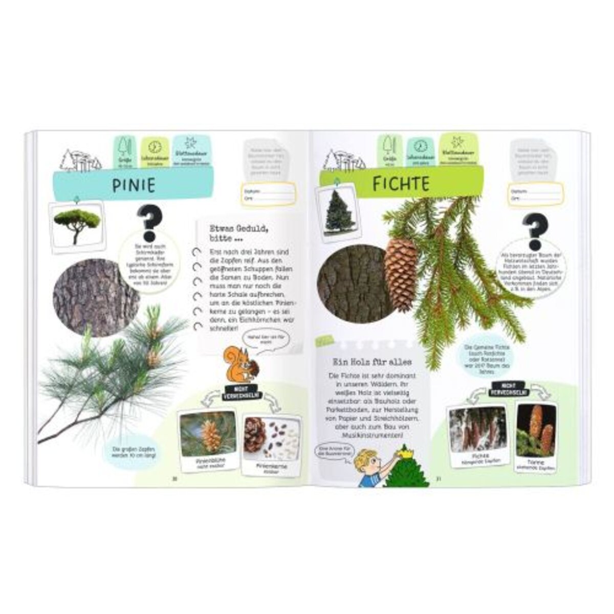 moses-expedition-natur-raetseln-stickern-EB54392A2.jpg