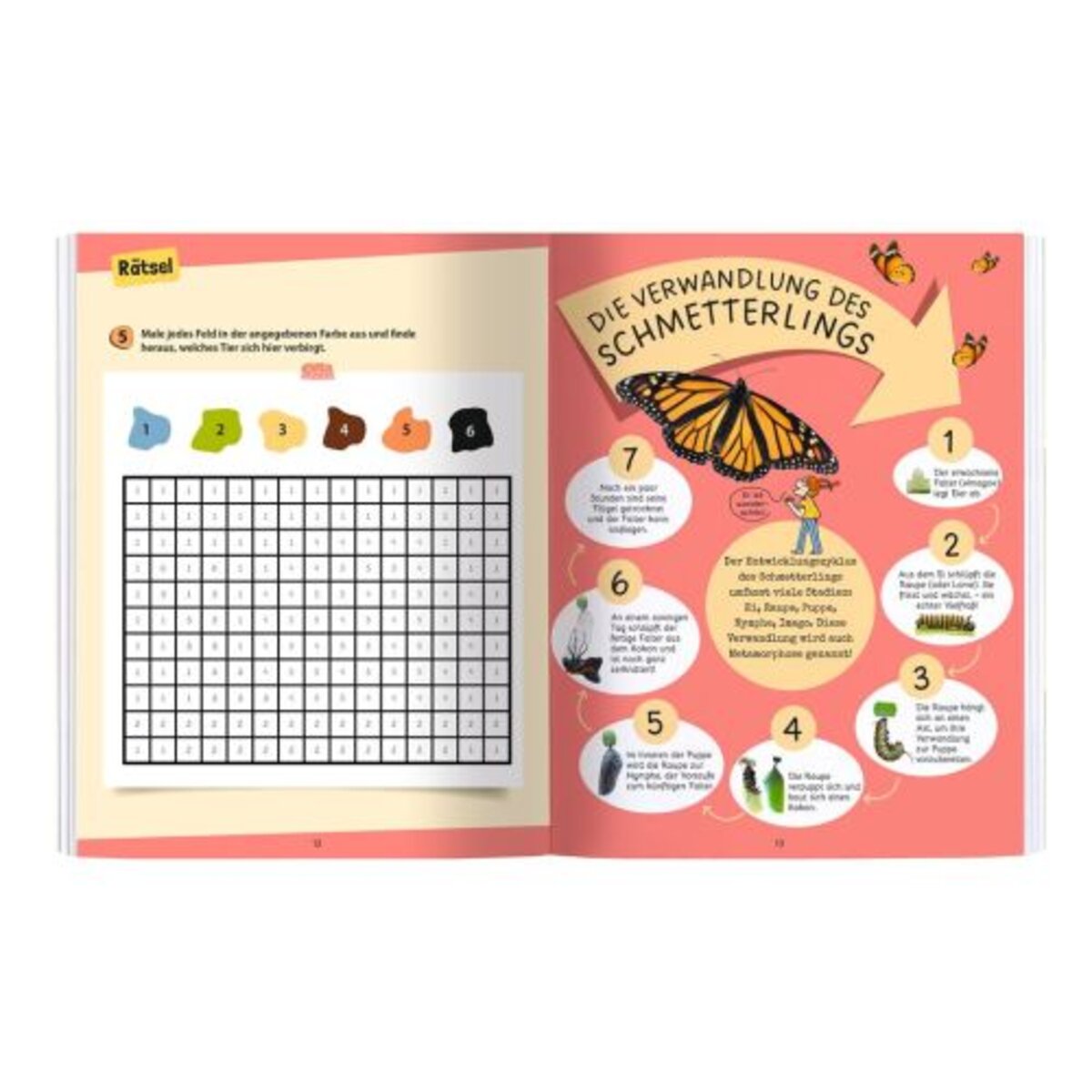 moses. Expedition Natur: Rätseln, Stickern, Bestimmen - Insekten & Co.