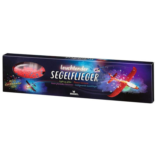moses-leuchtender-segelflieger-mit-leds-CD1B729C1.jpg
