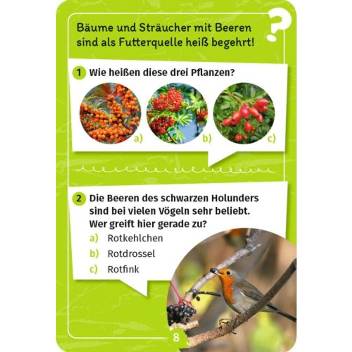 moses. Mein Vogel-Forscherquiz