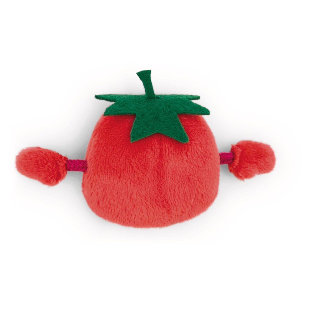 nici-green-mini-mag-tomate-6853A9923.jpg