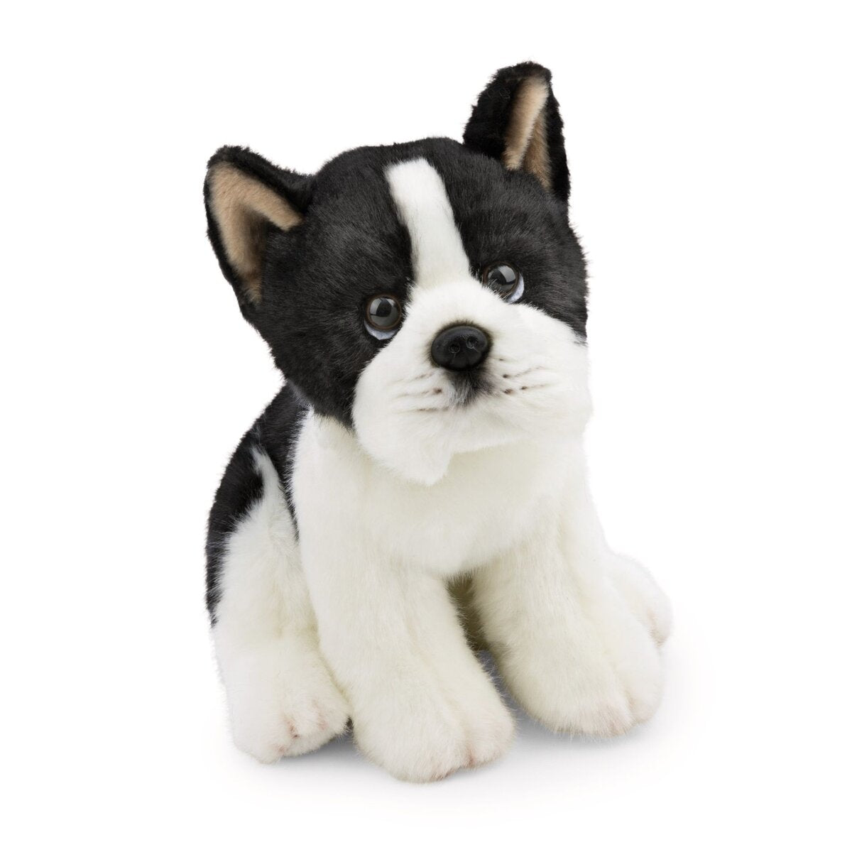 nici-kuscheltier-hund-boston-terrier-F52A8F4C1.jpg
