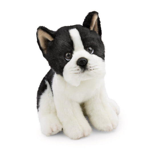 nici-kuscheltier-hund-boston-terrier-F52A8F4C1.jpg