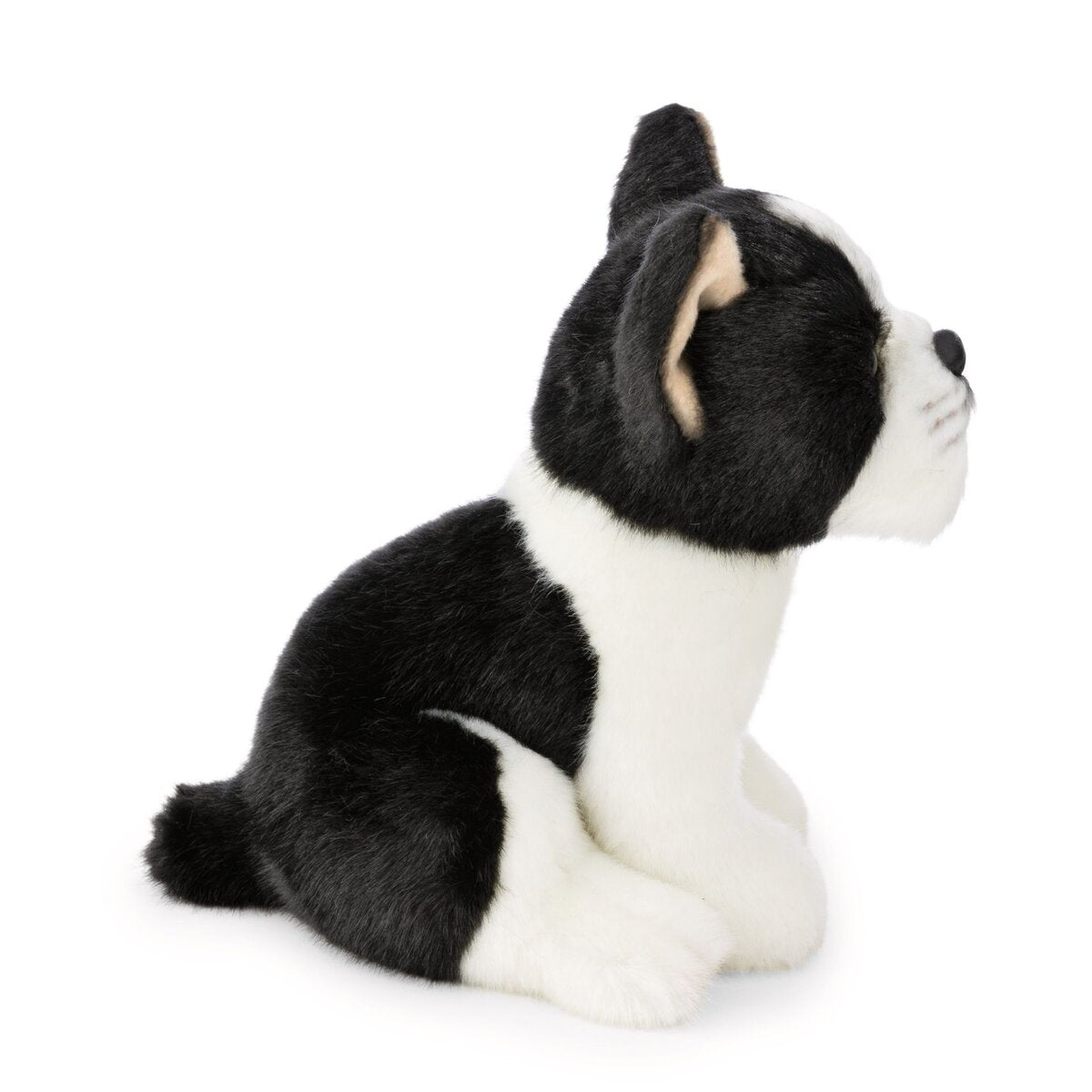 nici-kuscheltier-hund-boston-terrier-F52A8F4C3.jpg