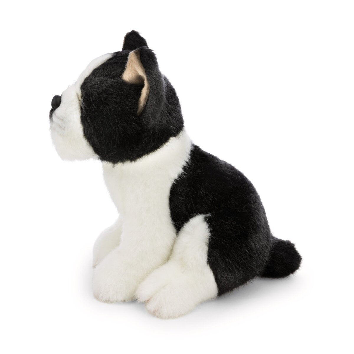 nici-kuscheltier-hund-boston-terrier-F52A8F4C5.jpg