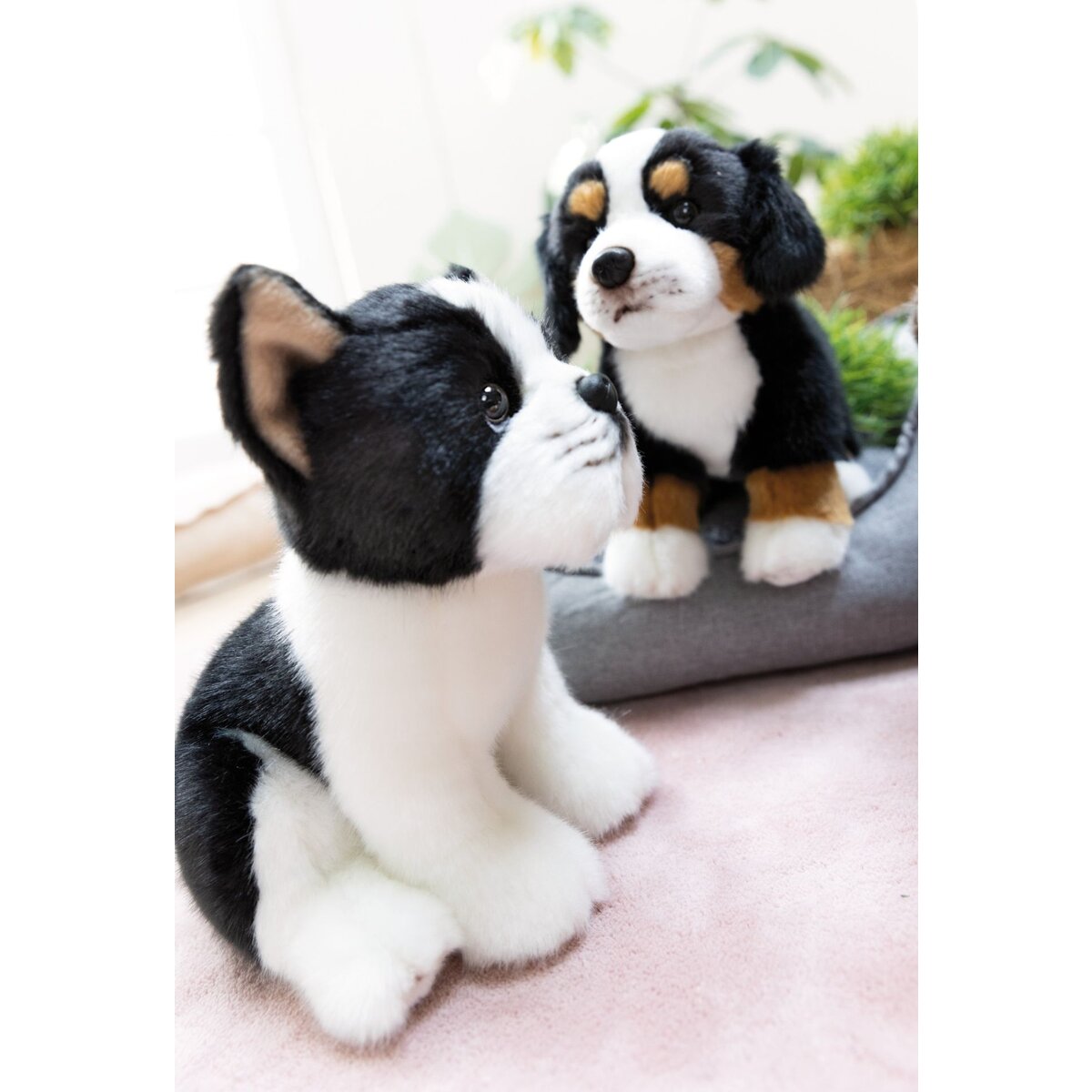 nici-kuscheltier-hund-boston-terrier-F52A8F4C6.jpg
