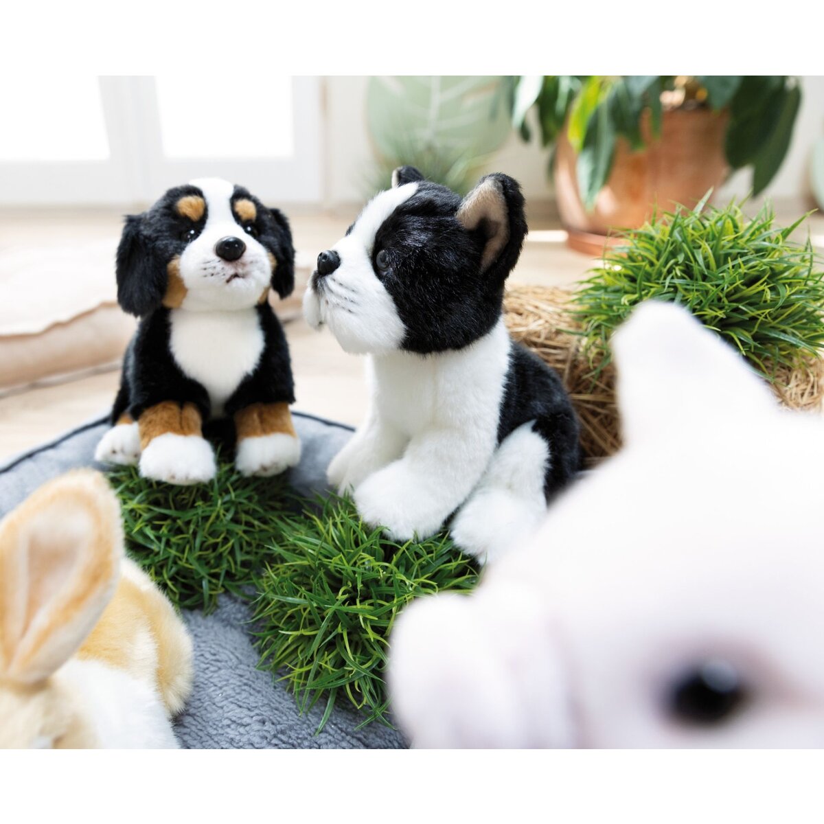 nici-kuscheltier-hund-boston-terrier-F52A8F4C7.jpg
